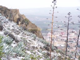 Ciudad de Mula con Nieve 2006